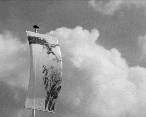 Eine Fahne mit Schwarzen Zeichnungen flattert im Wind