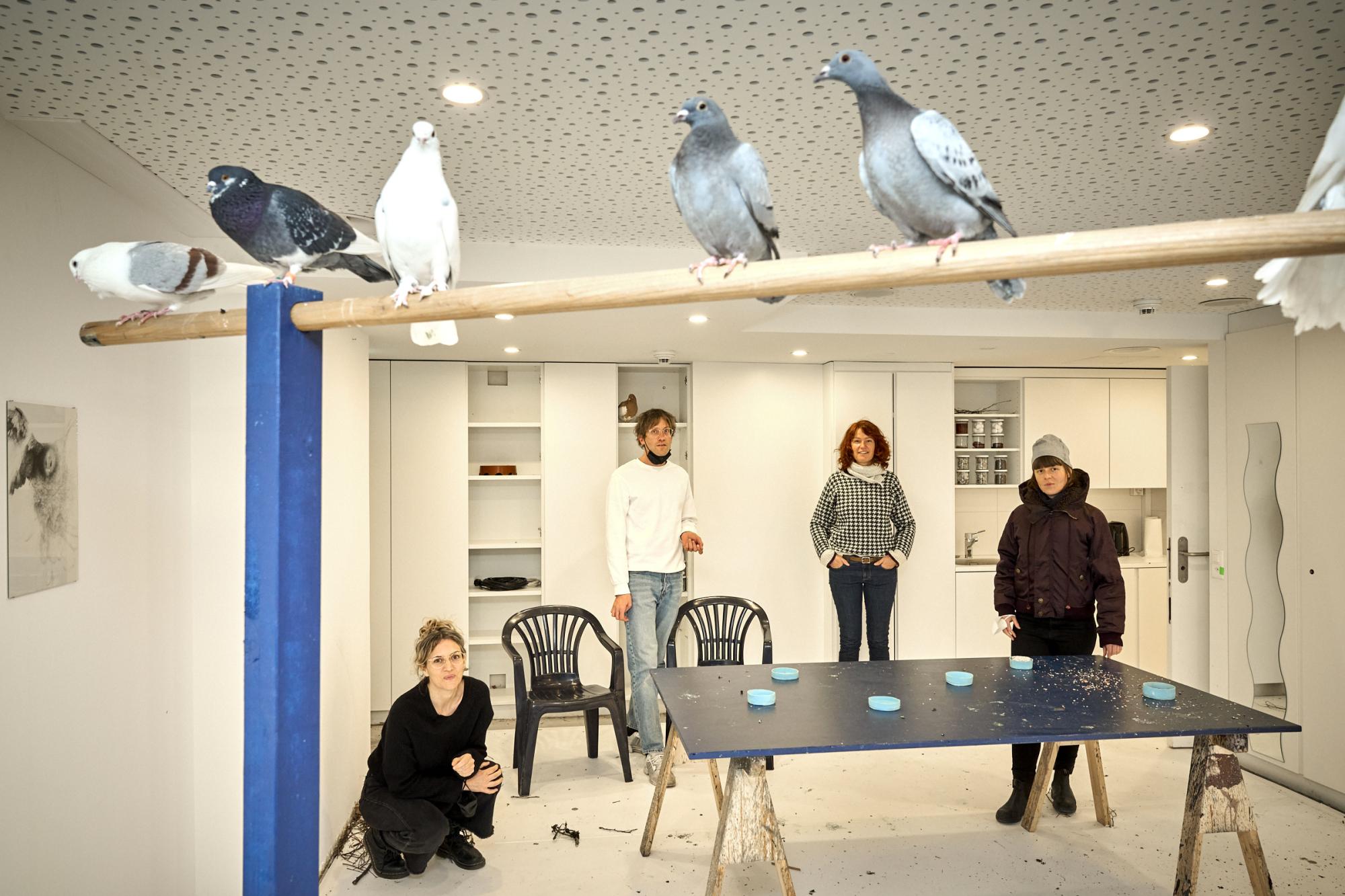 Menschen und Tauben im Ausstellungsraum