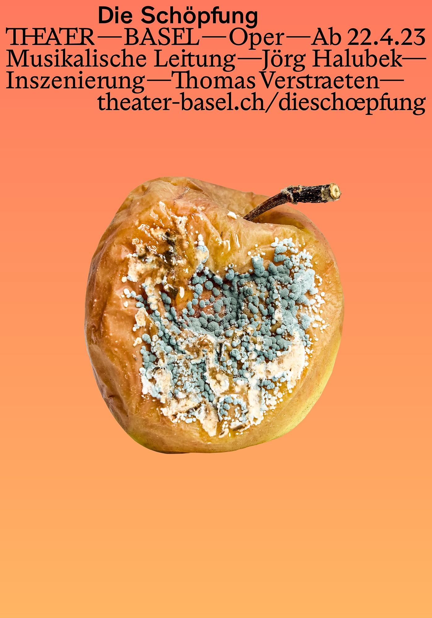 Plakatmotiv 1 für Die Schöpfung - ein verschimmelter Apfel auf orangenem Hintergrund